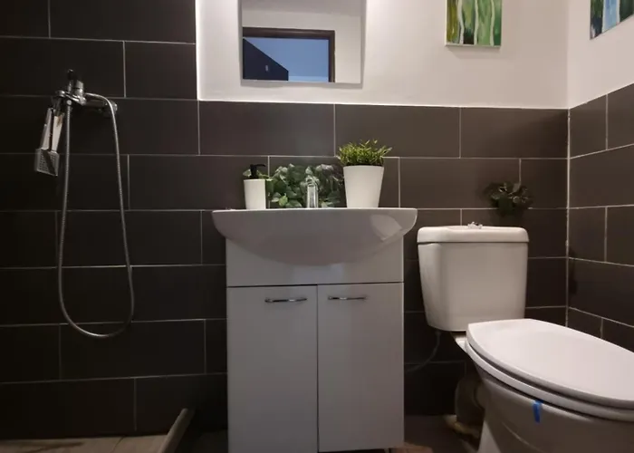 Studio Central Exer X * بوخارست